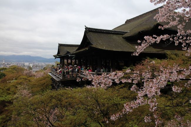 京都の旅も　２日目<br /><br />今日は、別行動で散策しました<br /><br />朝のうち小雨でしたが清水寺を後にする頃には雨も上がり助かりました。