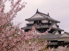 桜満開・現存天守『松山城』