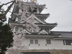 満開の桜　　ＩＮ　墨俣城　　　パート　−　５