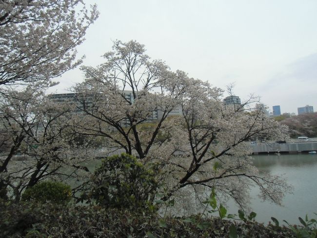 久々に都内（市ヶ谷）泊した機会に<br />学生時代の思い出が詰まった市ヶ谷、北の丸を散策。<br />「昔とは 別の姿になった所」<br />「昔のままの様子を維持している所」<br />「今回 新たに発見した所」・・・様々な風景に面した。<br /> 