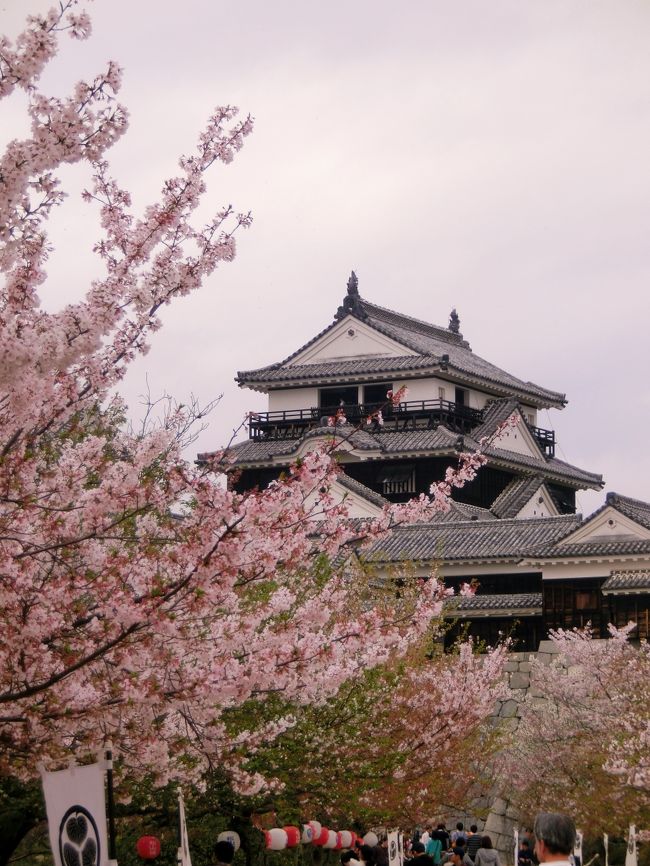 ４月の第１週の週末にお城＆桜＆温泉を楽しむため、愛車とともにしまなみ海道を渡り四国に上陸。<br />しかし、天候は生憎の雨。<br />桜は散り始め満開の期を逸してしまいました。<br /><br />初日は、しまなみ海道をを渡り道後温泉へ。<br />二日目は現存天守『宇和島城』そして同じく現存天守『松山城』へ。<br /><br />道すがら散り始めた桜を楽しみながらの旅となりました。