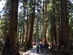 高野山で神々しさを