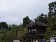 桜吹雪の京都を行く　　女6人にぎやか旅　2日目　醍醐寺、銀閣寺、哲学の道