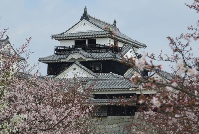 2015春、四国周遊(18/26)：3月31日(2)：松山城、太鼓門、一ノ門、二ノ門、三ノ門