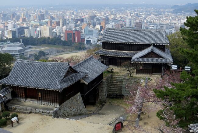 四国の名城、松山城紹介の続きです。姫路城と同じく連立式の天守を持ち、日本三大連立式平山城の一つにも数えられます。その渡櫓を巡りながら見学できました。