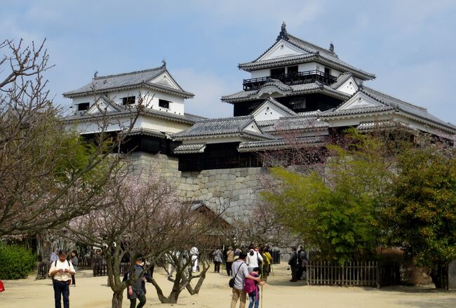 四国愛媛の名城、松山城紹介の締め括りです。余った自由時間で、麓にある東雲(しののめ)神社を見学しました。久松松平家の家祖、菅原道真公などを祀る神社です。