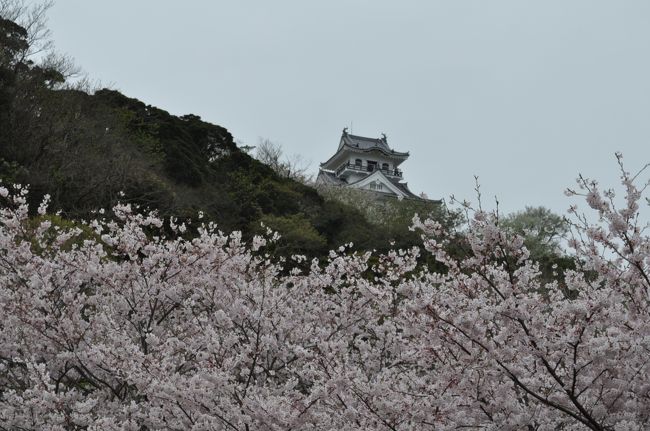 春休み最終週、東京は桜満開の土曜日に千葉県館山へ向かった。