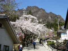 桜を愛でながら奇岩を楽しめる妙義山に登る・・・前篇・妙義神社中間道コース