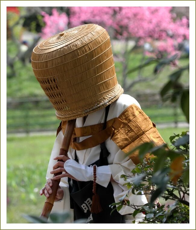 ■棲真寺まつり、桜満開のなかで虚無僧行列が賑やかに行われました。<br /><br />▽棲真寺（せいしんじ）／広島県三原市大和町平坂<br />　桜の名所として有名な棲眞寺で春に開催される祭りです。<br />　桜満開のなかで虚無僧行列、観音講法要、地元有志による演芸奉納、地元特産品の販売などが賑やかに行われます。<br />　小早川家ゆかりの臨済宗妙心寺の末寺である棲真寺は、応海山の南中腹にある、臨済宗妙心寺派の寺院です。７月から８月には、蓮池に美しい蓮の花が咲き、園内を彩ることで有名なお寺です。<br />　棲真寺蓮の花 → https://4travel.jp/travelogue/11265200<br /><br />▽虚無僧（こむそう）とは<br />　尺八を吹きながら全国を修業して回る僧侶です。虚無僧の由来は、『坐臥用のこもを腰に巻いていたところから』とも言われています。<br />　お経を唱えるかわりに、尺八を吹くことを修行としました。宗派は普化宗（ふけしゅう）で禅宗の一宗派です。<br />　特徴としては、頭の毛や髭を剃らず、一般人と同じ生活をしていたようです。服装は、小袖に袈裟（けさ）という衣をまとい、深編笠（天蓋[てんがい〕）をかぶり刀を帯していました。初めの頃は普通の編笠をかぶり、白衣を着ていたようです。<br /><br />【　手記　】<br />　この日は棲真寺まつり（虚無僧行列10:00～）と御調八幡宮春季例祭（桜花祭11:00～）へと行って参りました。さすがに2か所訪問は忙しかった＾＾；<br />　虚無僧行列を見るのははじめてのことで珍しさに加えて少し新鮮さもありました。桜花祭では今年は４年ぶりに「御調八幡宮の花おどり」が披露されました。