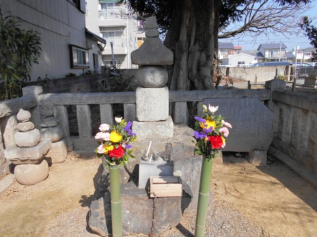 ＪＲ飯田線の牛久保駅から徒歩約１０分の長谷寺（ちょうこくじ、愛知県豊川市牛久保町）は武田信玄の軍師として信玄を支えながらも川中島での上杉謙信との戦いで討死した山本勘助（１５００～１５６１）の遺髪が埋められたとする寺院です。<br /><br /><br />勘助墓所の左には説明板が配されそれによると次の通り記載されています。<br /><br />「　山　本　勘　助　の　墓<br /><br />戦国の昔、武田信玄の名軍師として有名な山本勘助は、明応９年（１５００）８月１５日八名郡賀茂村（豊橋市賀茂町）の山本藤七郎の三男として生まれ、幼名を源助と名のっていました。<br /><br />勘助は１５歳の正月に牛久保の牧野家家臣大林勘左衛門貞次の養子となり、大林勘助貞幸と名を改め、２６歳の時に、武者修行のため諸国を歴遊し武名を高めて、３５歳の冬に大林家に帰ってきたところ、勘左衛門に実子が生まれていたため、父子の縁を切り、養家を離れて関東の地を歴遊し、４５歳の時に甲斐国（山梨県）の武田信玄に仕え、知謀をもって忠誠をつくし永禄４年（１５６１）川中島の合戦で討死しました。<br /><br />その後在住以来勘助と親交のあった長谷寺の念宗和尚がその死を悼み、彼の遺髪を埋めて建立したのがこの五輪塔だと伝えられています。<br /><br />また、勘助の守り本尊であったとされる摩利支天像（市指定）が、今なお長谷寺に安置されています。<br />　　　　　　　　　　　　　　　　　　　豊川市教育委員会　」　　　　　　　　　　　　　　　　　　　　　　　　　　　　　　　　　　　　　　　　　　　　　　　　　　　　　　　　　　　　　　　　　　　　　　　　　　　　　　　　　　　　　　　　　　　　　　　　　　　　　　　　　　　　　　　　　　　　　　　