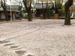 日常の合間に見かけた桜じゅうたん～我が地元の八坂神社にて