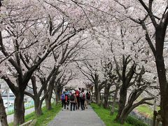 水都 大垣市を歩く　一宮友歩会・第５５回ウォーク例会　史跡巡りシリーズ・岐阜編Ｐart8　　