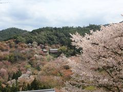 桜に埋もれる「世界遺産・金峯山寺」如意輪寺をブラブラして来ました。