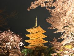 青春18切符一人旅　桜満開の姫路城～京都　東寺の夜桜にうっとり～後半