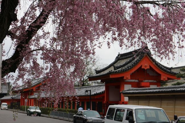 京都駅で主人と待ち合わせ三十三間堂に向かいました<br /><br />夕方に大阪で知り合いと待ち合わせなので、<br />それまでもう少し散策をすることにしました。<br /><br />