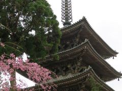 桜と歴史と乗り物と　2015春の旅