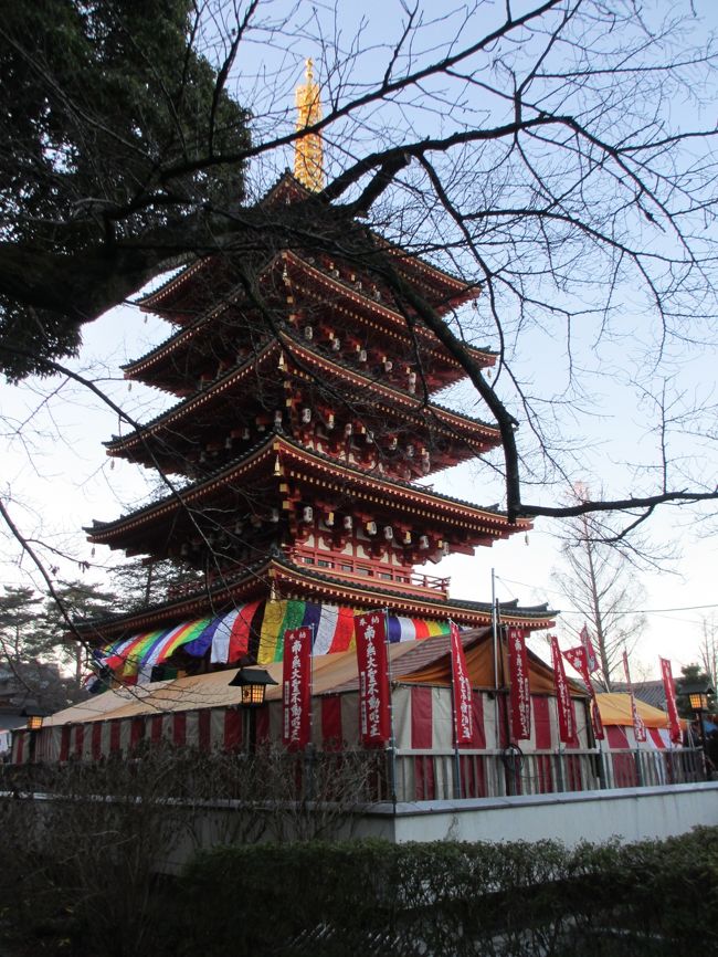 東京で初めての初詣。<br />まずは元旦に高幡不動尊金剛寺へ。<br />お寺への初詣は初めてだったので新鮮でした。<br />３日には明治神宮へお参りして大混雑を体験しました。<br />そして宮崎へ帰って宮崎神宮へお参りです。<br />お寺が含まれてはいますが、三社参り。<br />御利益がありますように。