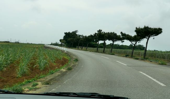 今回，同僚の就職記念にて，4泊5日での宮古島・沖縄旅行とあいなった．石垣島に入ったことがあるが，こんな機会はめったにないので宮古島へと向かう．0750発NH650便で沖縄1040．1305発NH1723便で宮古1300．さすが宮古は遠い．これだけの時間がかかってしまう．<br />レンタカーで宿舎に行くまでを紹介．雨は降らなかったが，あいにくの天気だった．<br />宮古ではコンドミニアム　フェリスヴィラ下地に3泊　1泊１棟レンタルで27510円<br />3/24の宮古1330発NH1724便で1420那覇．ホテル浜比嘉島リゾートで仕事．<br />3/25NH474便那覇発1825発羽田2040着で帰京した．