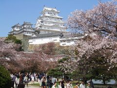 真っ白に蘇えった姫路城と桜～大阪造幣局の桜の通り抜け！