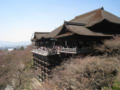 京都よくばり日帰り旅～八坂神社から清水寺＆宇治平等院鳳凰堂