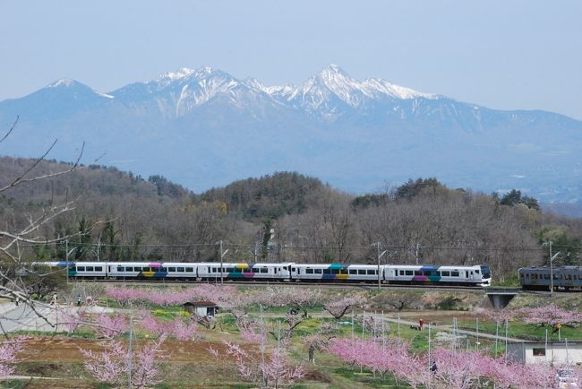 桃の花が一面に咲き誇る新府（しんぷ）桃源郷にて、鉄道写真を撮ります。<br /><br />桃源郷の中を走る中央本線では、いろいろな形の電車とイベント電車に会えます。<br /><br />桃源郷の山と花を中心にした花旅は前の旅行記で紹介しています。<br />こちらもご覧ください。