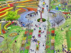 日本一大きな国営公園 木曽三川公園で「チューリップ祭2015」