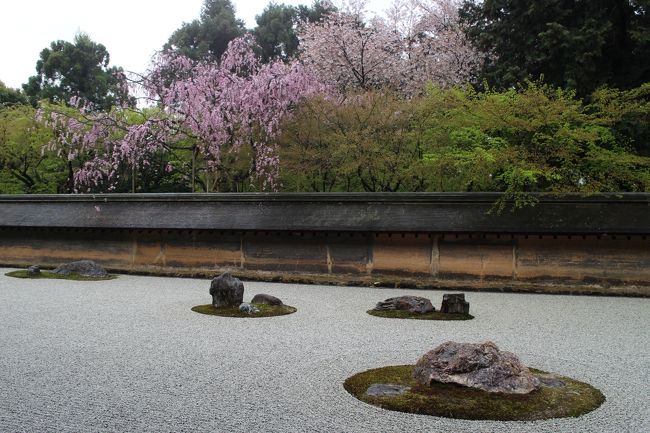 会社の同期＆後輩ちゃんの結婚式に出席するため京都へ。<br />せっかくなので金曜日に１日有給を取り、結婚式以外の２日は京都観光♪<br /><br />今回は今まで訪れたことのない場所巡り。<br />京都は何度訪れても飽きません。