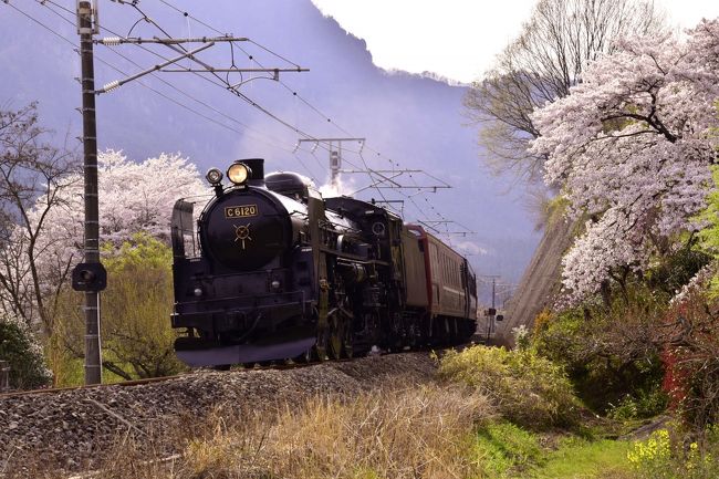 JR信越線沿線に広がる桜並木の風景を探しに、横川駅まで散策してみました。