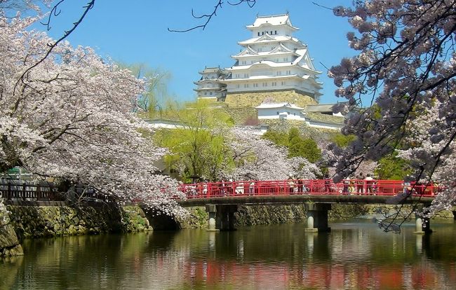 ５年半ぶりの姫路城リニューアルオープン前日の３月２６日は業務上でのイベントが姫路郊外のホテルで行われました。<br />午後からは外観だけでも見てみようと姫路城に立ち寄ってみました。<br /><br />そしてその１週間後に今度は早朝よりプライベートで再訪したところ桜が満開となっていました。<br /><br />連日大勢の観光客が押しかける姫路城入城は時期によって時間が異なり、当日も開城３０分前に訪れましたが、既に１５０人（天守閣優先入城整理券が配布されます。）ほどが並んでいました。<br /><br />姫路城<br />http://www.city.himeji.lg.jp/guide/castle/<br /><br />◆国宝：大天守、東小天守、西小天守、乾小天守、い・ろ・は・に・の渡櫓（やぐら）の8棟<br />◆重要文化財化粧櫓、ニの櫓、折廻り櫓、備前門、水の一門、水の二門、菱の門、い・ろ・は・にの門、ぬの門など74棟<br /><br />※城内説明は姫路観光情報より引用