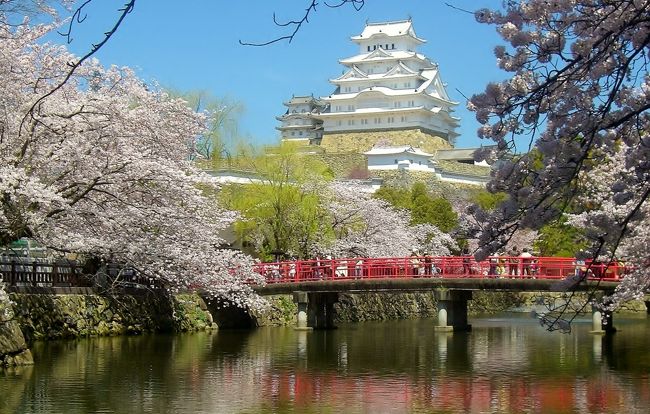 5年半ぶりの姫路城リニューアルオープン前日の3月26日は業務上でのイベントが姫路郊外のホテルで行われました。<br />午後からは外観だけでも見てみようと姫路城に立ち寄ってみました。<br /><br />そしてその1週間後に今度は早朝よりプライベートで再訪したところ桜が満開となっていました。<br /><br />連日大勢の観光客が押しかける姫路城入城は時期によって時間が異なり、当日も開城30分前に訪れましたが、既に150人(天守閣優先入城整理券が配布されます。)ほどが並んでいました。<br /><br />姫路城<br />http://www.city.himeji.lg.jp/guide/castle/<br /><br />◆国宝:大天守、東小天守、西小天守、乾小天守、い・ろ・は・に・の渡櫓(やぐら)の8棟<br />◆重要文化財化粧櫓、ニの櫓、折廻り櫓、備前門、水の一門、水の二門、菱の門、い・ろ・は・にの門、ぬの門など74棟<br /><br />※城内説明は姫路観光情報より引用