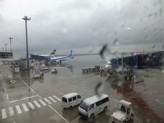 2014 雨の名古屋遠征と伊勢詣で【その１】飛行機でセントレアへ