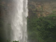 2015年4月　雨の八重山旅行（2日目）　西表島へ