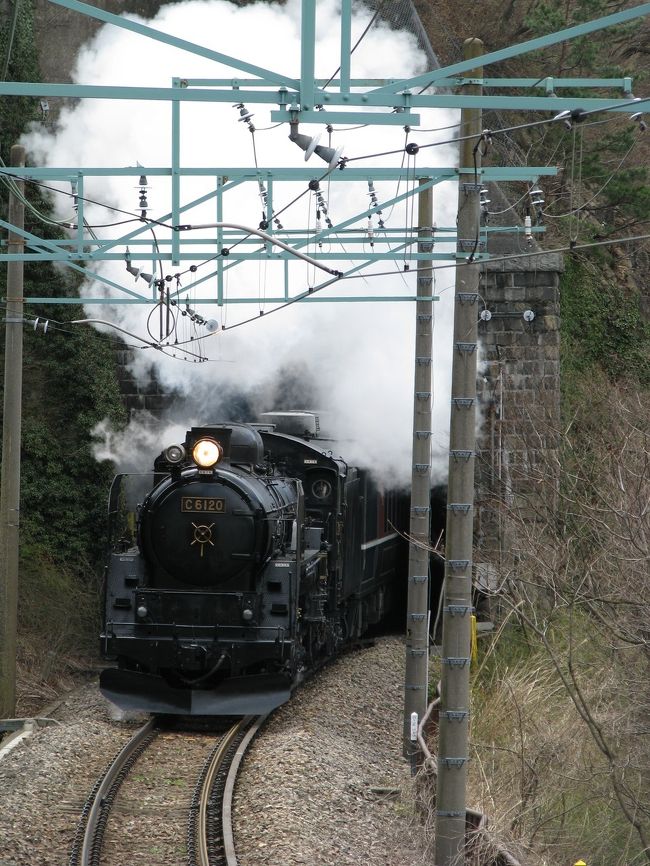 　水上では週末になるとSLもほぼ定期的に運行されるようになり、集客の目玉となっております。<br />　ただ、沿線で三脚を立てる撮り鉄の多くは車で乗り付け、途中寄ったコンビニで買ったオニギリを食べつつ、撮り終わったら帰る。つまり、なかなか地元にお金を落とさないんじゃないかと想像します。水上に泊まり、食べ、お土産を買うのは一日一往復する列車の乗客のみ。それでも家族連れの観光客を呼ぶ効果はあります。