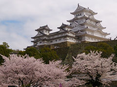 桜の姫路城