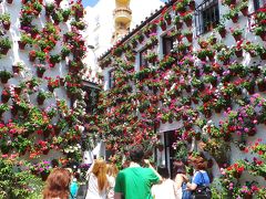 MILFLORES コルドバ パティオ祭で mil flores（千の花々）に埋もれる　-8-　ALCAZAR VIEJO (SAN BASILIO) 地区