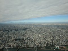 東京練馬「かいとの春風」展③東京観光はとバスツアー