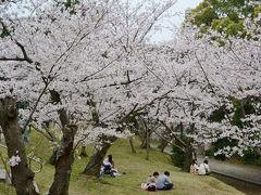 九州サクラ紀行・その５（福岡県）