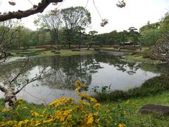 可憐な花が咲いていた皇居東御苑