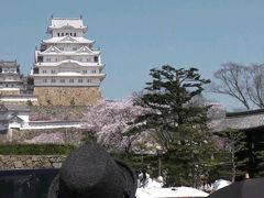 新姫路城と桜