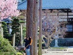 今が見どころ『森のあんず』　千曲市の山里は花盛り～☆