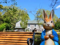 埼玉県　こども動物自然公園でピーターラビットに会って来た　オッサンネコの家族旅