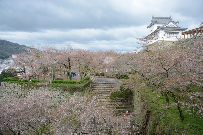 岡山県津山城の桜を期待し、今回は桜開花予報を確認しつつ予定を立てましたが、残念ながら桜吹雪でした。<br />なかなか難しいですね。<br />津山城、福山城、倉敷を観光しました。