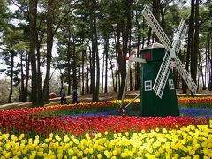 春が来た 国営ひたち海浜公園