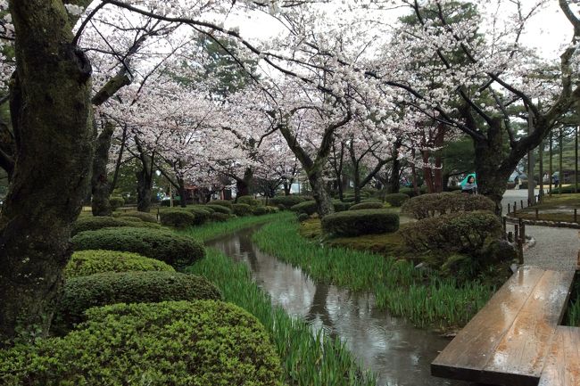 二日目はあいにくの雨。<br />それにもめげず、兼六園、21世紀美術館。<br />グルメ方面もおでんとステーキを楽しみました。<br /><br />