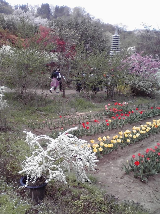 花見山、花ももの里が見ごろとニュ−スに見たので急きょ飯坂温泉１泊で行ってきました。<br />大変綺麗でした。