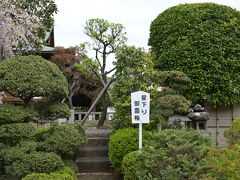 星下りの寺院を訪ねて、自らも佐渡への旅立ち準備（金田・依知）