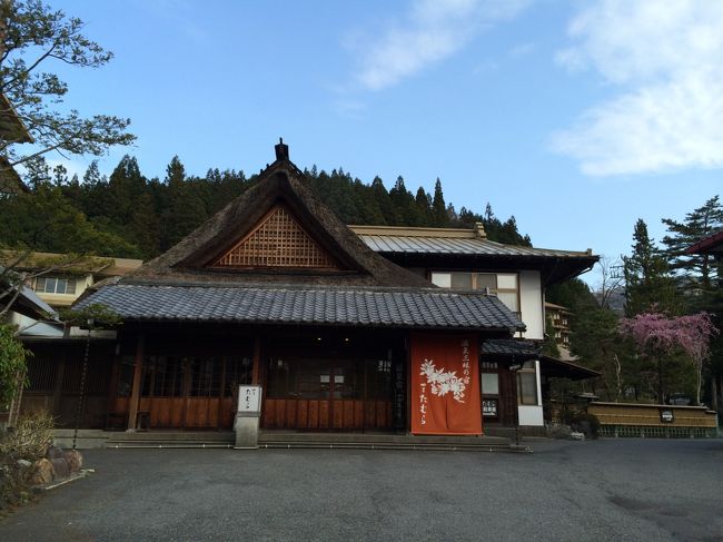 古希を迎えた母に昨年は温泉旅行をプレゼント☆<br />思いのほか喜んでもらえたことに気を良くしたゆみず。<br /><br />今年はもう長寿祝いのタイミングではないけれど、この先もう何回一緒に行けるかわからないし、今回も温泉に行こう！<br />あったかいんだからぁ♪<br /><br />父も誘ったけど好きな海の漁をしたいから留守番してるというので、母と仲良しの叔母と甥を誘って、私たち夫婦と５人で群馬県は四万温泉、お風呂自慢の宿「四万たむら」さんに行ってきました。<br /><br />温泉はもちろん、満開の桜まで楽しめたよ〜