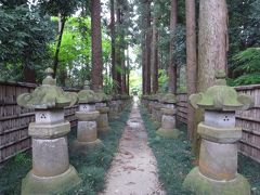 紅葉の名所・平林寺の新緑