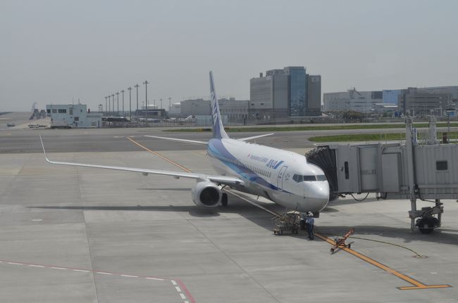 2015年4月関東鉄道旅行3（ANA315便で帰途）