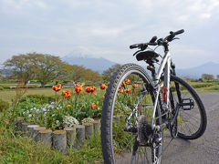 自転車でGO！ 2015.04.19 富士市内 =富士山を見ながら=